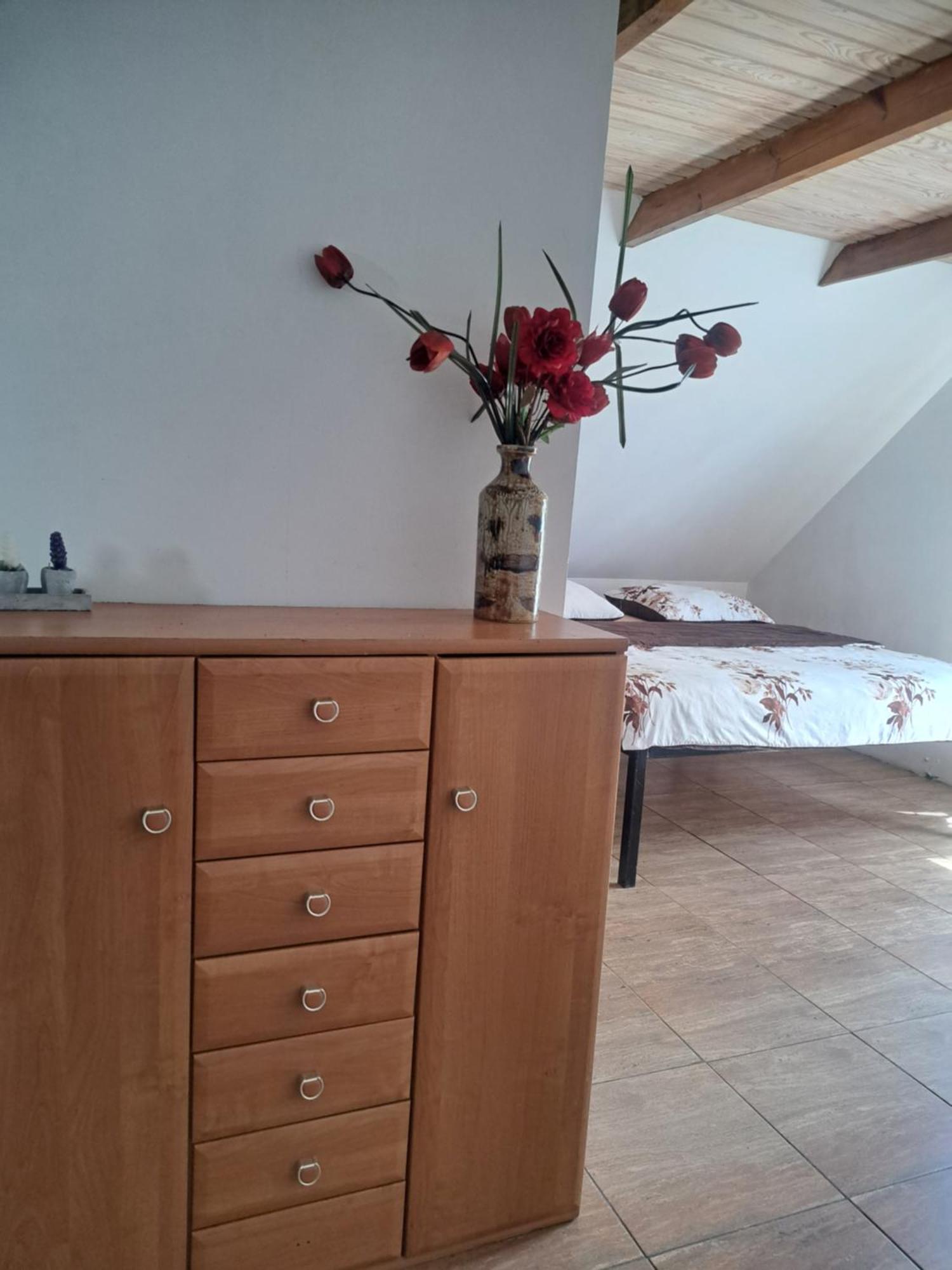 Bizon Guest House Sadowne ภายนอก รูปภาพ