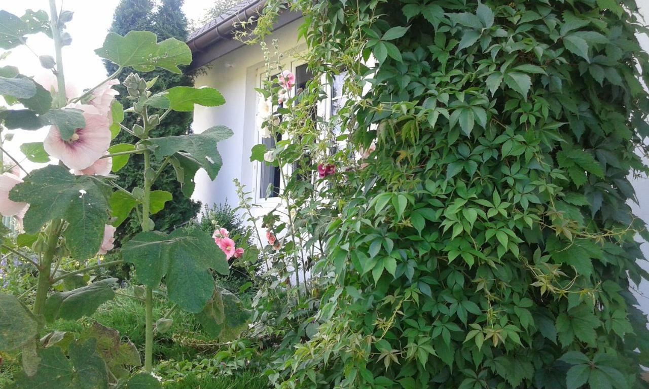 Bizon Guest House Sadowne ภายนอก รูปภาพ