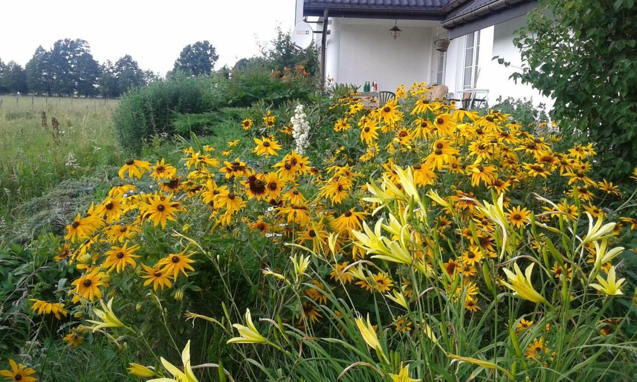 Bizon Guest House Sadowne ภายนอก รูปภาพ